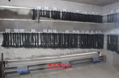 北方BFC6120KD豪華客車用的康明斯ISBE4+250發(fā)動機(jī)的修理及配件