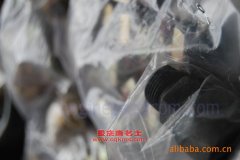 黃海DD6118W01臥鋪客車用的上柴6C280-2發動機的配件及保養
